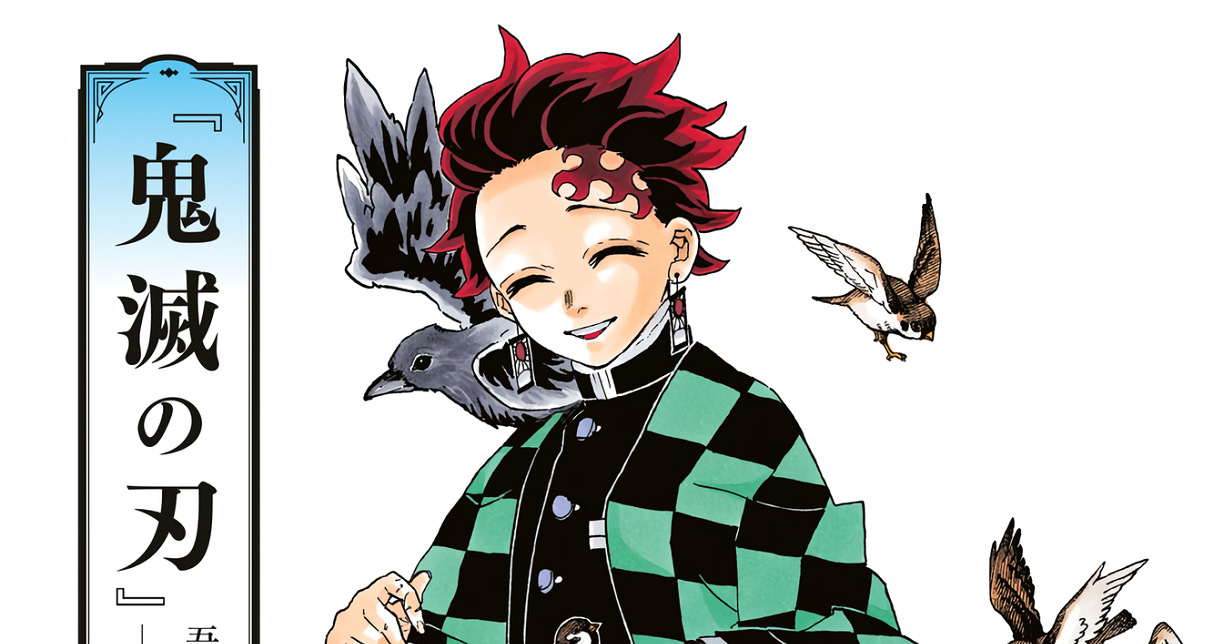 Manga Passion Lizenz „Demon Slayer Kimetsu no Yaiba Im Laufe der Jahre Gesammelte